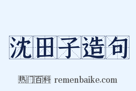 沈田子造句是什么意思的图片